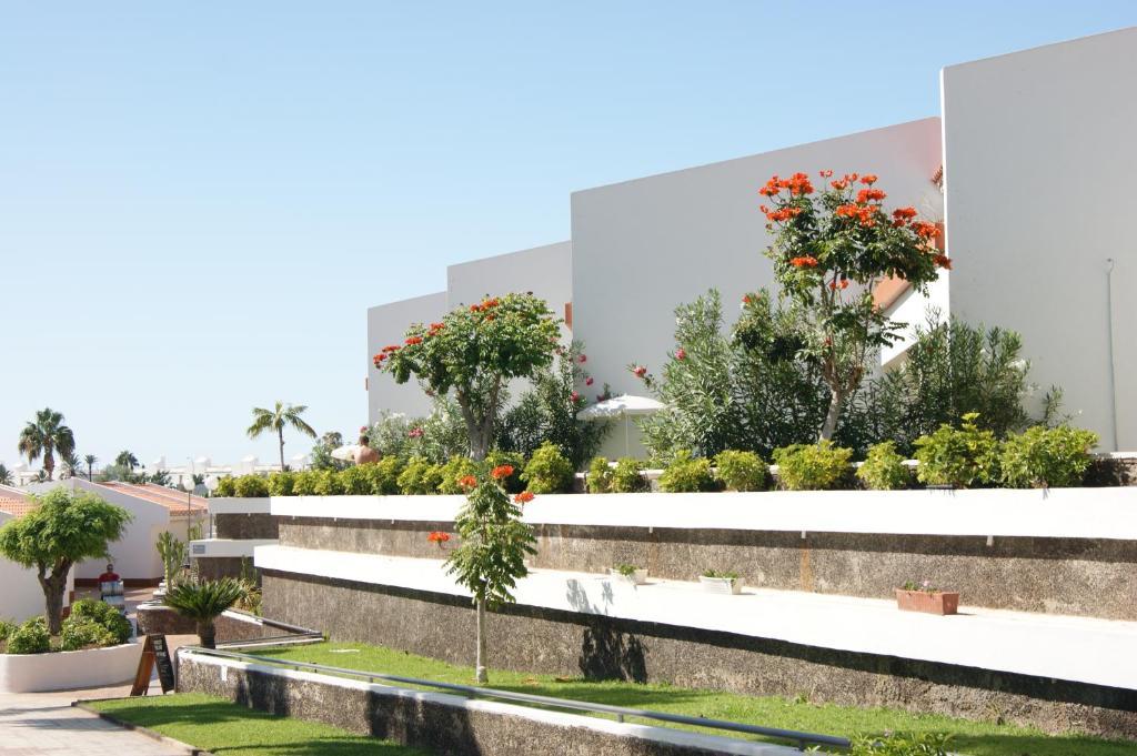 Island Village Playa de las Americas  Esterno foto