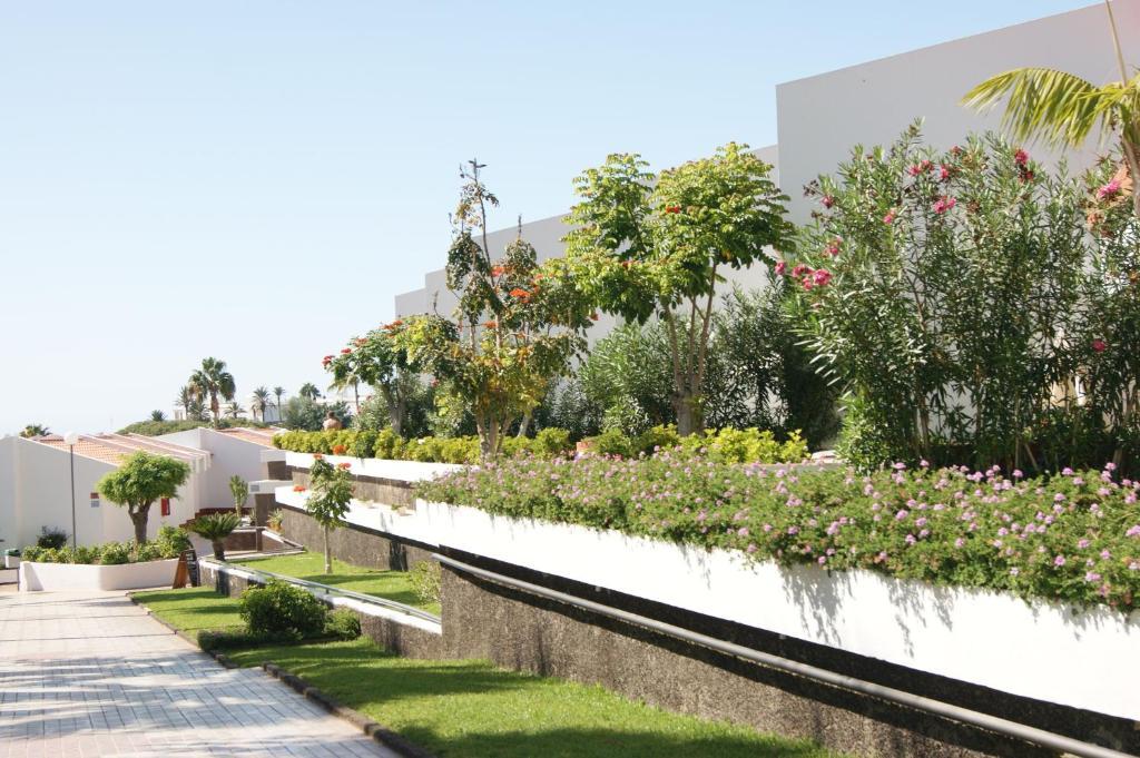 Island Village Playa de las Americas  Esterno foto
